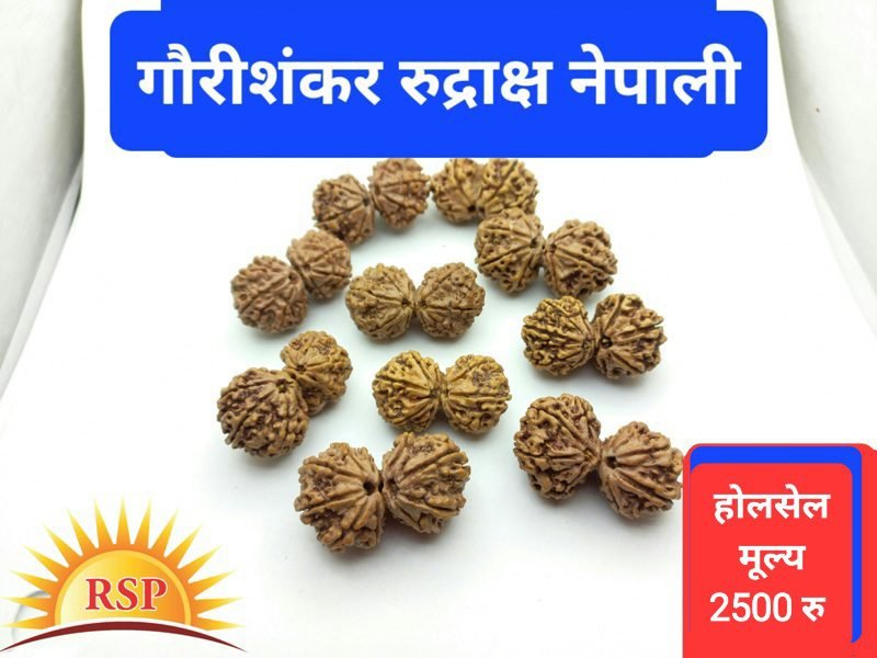 गौरी शंकर रुद्राक्ष Gauri Shankar Rudraksh For Couple Rudraksh For Husband wife Family Speacial Rudraksh