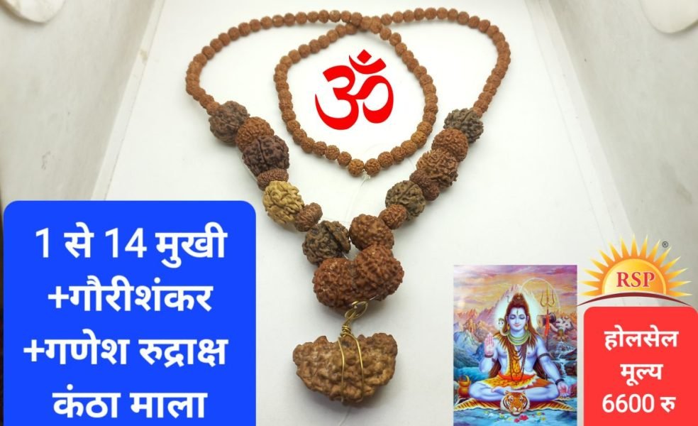 1 से 14 मुखी रुद्राक्ष सिद्ध माला 1 To 14 Mukhi Siddh Kantha Mala