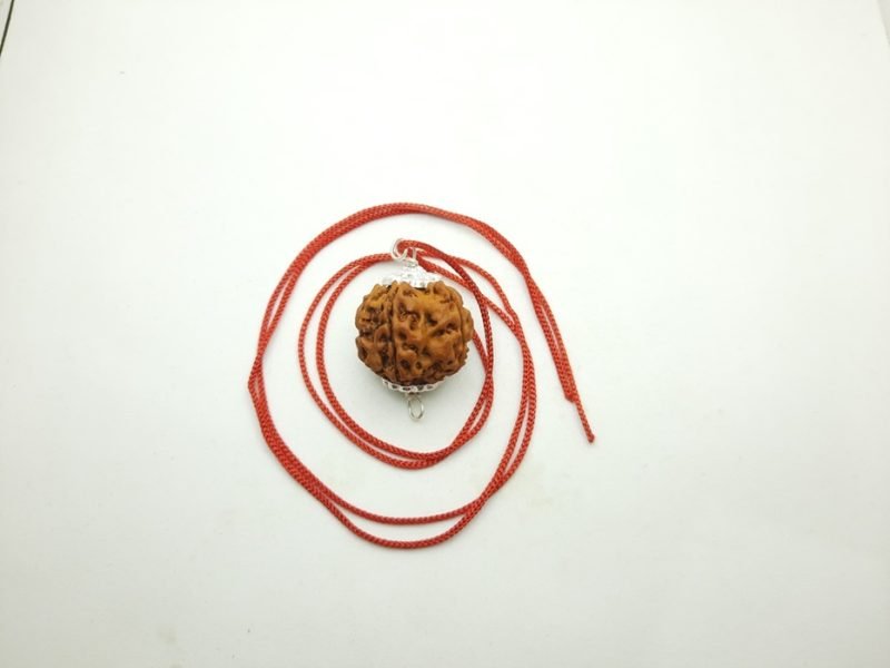 5 मुखी रुद्राक्ष चाँदी मे पेंडल 5 mukhi rudraksh pendal in silver