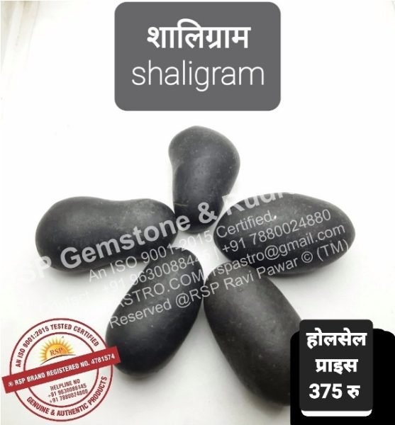 शालिग्राम स्टोन पूजन हेतु Shaligram Stone