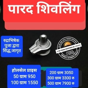 पारद शिवलिंग Parad Mercury Shivling