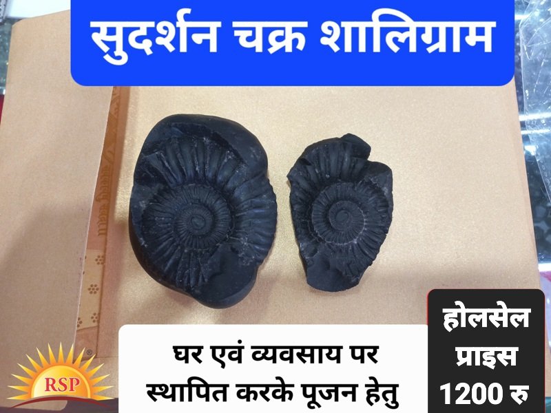 सुदर्शन शालिग्राम Sudarshan Shaligram