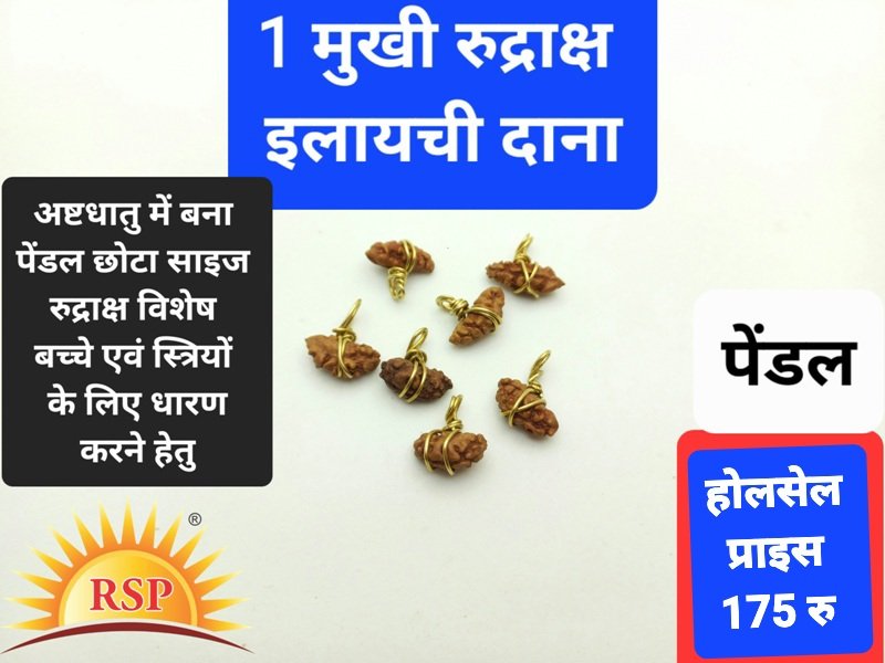सूर्य गृह के लिए 1 मुखी रुद्राक्ष इलयची दाना  1 Mukhi Rudraksh Ilaychi dana