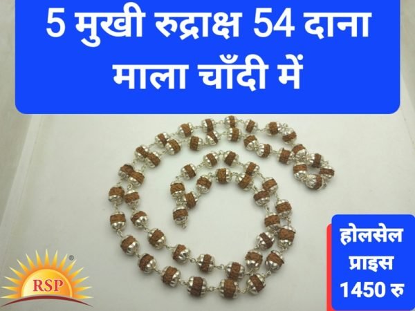 5 मुखी रुद्राक्ष माला चाँदी मे 54 दाना गुरु गृह के लिए 5 Mukhi Rudraksh Mala In Silver 54 Dana 5 Face Rudraksh Mala For Guru Grah