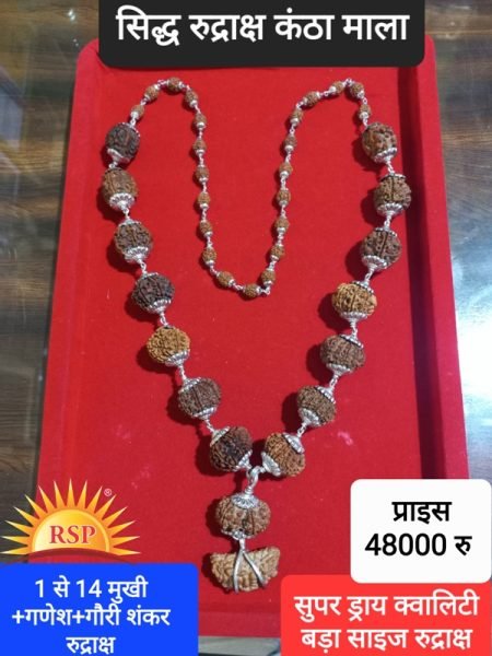 नव गृह के लिए  1 से 14 मुखी रुद्राक्ष गौरी शंकर+गणेश सिद्ध कंठा माला बड़ा दाना 1 To 14 Face Rudraksh With Gauri Shankar Ganesh Siddh Kantha Mala Bid Dana
