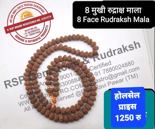 8 मुखी रुद्राक्ष माला 8 राहू  गृह के लिए 8 Mukhi Rudraksh Mala 108 Dana 8 Face Rudraksh Mala In Thread Eight Face Mala For Rahu Grah