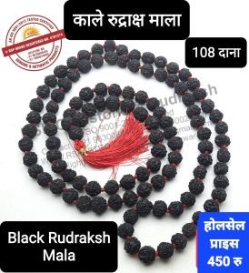 काला रुद्राक्ष माला Black Rudraksh Mala 108 Beads