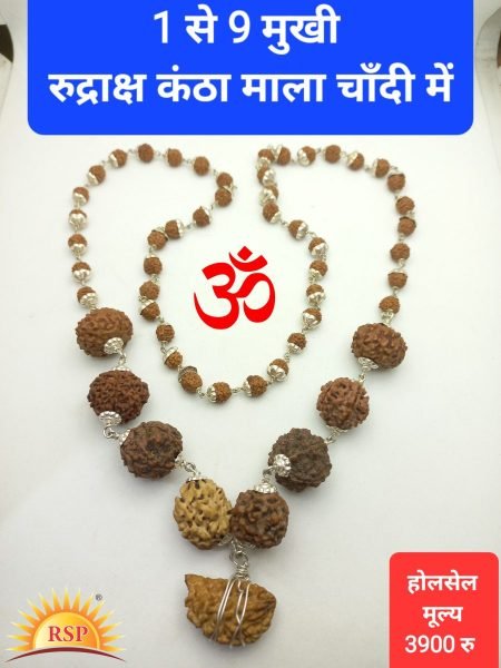 1 से 9 मुखी रुद्राक्ष सिद्ध कंठा माला 1 To 9 Face Rudraksh  Siddh Kantha Mala